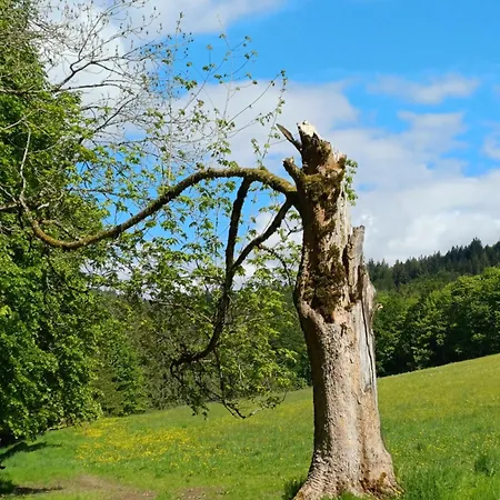 Apartmán Fink Regen
